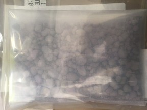 Caught up in the seizure at two homes in Griesbach and Hollick-Kenyon areas was 394 grams of fentanyl with an estimated street value of $98,000 as well as 146 grams of a cocaine base with an estimated street value of $5,000.