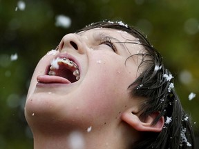 Sasha Frederick (11-years-old) catches snowflakes in Edmonton on Saturday September 15, 2018. Snow and mixed rain will continue on Sunday with a high of 3C degrees.