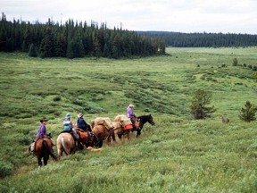 Trail riding in the elk meadows in the Upper Wapiabi Creek area of the Bighorn. File photo.