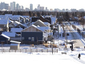 A pedestrian walks through the snow towards the neighbourhood of Griesbach as Edmonton's skyline is visible in the background. File photo.