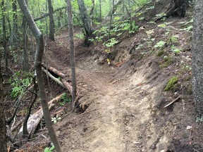 Supplied photos of a new, unauthorized trail build in the river valley near the Whitemud Equine Centre that was completed by the unknown builder or builders August 31. The builder cut dead-fall and green trees, built berms and dug out the parkland.