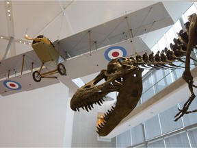 A 1918 Curtis JN-4C biplane and Albertosaurus skeleton are on display in the lobby of the new Royal Alberta Museum, in Edmonton Monday Oct. 1, 2018.