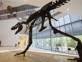 A 1918 Curtis JN-4C biplane and Albertosaurus skeleton on display in the lobby of the new Royal Alberta Museum in Edmonton on Monday, Oct. 1, 2018.