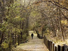 A pedestrian makes their way along a path near 102 Avenue and 131 Street, in Edmonton Friday Oct. 5, 2018.