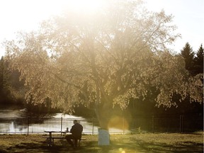 A man sits and drinks coffee while enjoying the warm weather in Hawrelak Park, in Edmonton Wednesday Oct. 17, 2018.