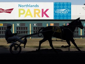 A harness racer prepares for the final day of racing at Northlands Park in Edmonton on Saturday, Oct. 27, 2018. Next year Edmonton's horse racing will move to to Century Mile near the Edmonton International Airport.