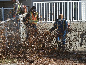 A crew of leafs blowers kicking up a leaf storm along 92 St. near 104 Ave. in Edmonton, October 29, 2018.