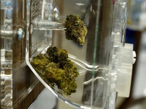 A sample of cannabis at the Nova Cannabis retail outlet in Edmonton on Wednesday October 17, 2018, the first day that cannabis became legal in the country.