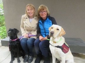 Maureen MacKay, left, and her partner in Aspen Service Dogs, Maria Illes, with their first two dogs, Zafi, a female black Labrador, and Atrej, a male Labrador.