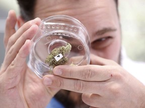 Jean Marc looks at a sample at a cannabis store in Winnipeg, Manitoba, Wednesday, Oct. 17, 2018. Canada became the largest country with a legal national marijuana marketplace as sales began early Wednesday.