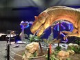 Dinosaurs Unearthed: Down to the Bone, takes over the Telus World of Science this weekend.