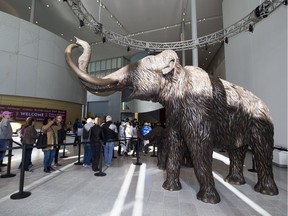 People file into the  new Royal Alberta Museum after the opening ceremony on Wednesday, Oct. 3, 2018 in Edmonton.