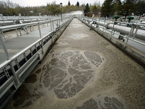 Secondary treatment at Epcor's Gold Bar Wastewater Treatment Plant. Officials believe they can increase capacity simply by installing filtration membranes here rather than building more ponds.
