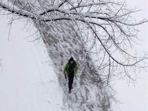 A pedestrian walks through the falling snow at the University of Alberta, in Edmonton Friday Nov. 2, 2018.