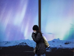 A pedestrian walks through the cold past a northern lights window display along 104 Street near 82 Avenue, in Edmonton Tuesday Nov. 6, 2018.