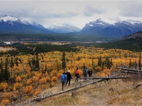 Two O'Clock Ridge near Cline, Alta., is shown in this undated handout photo. The Alberta government is proposing eight new parks that would cover 4,000 square kilometres along the front ranges of the Rocky Mountains. The parks in the Bighorn region in west-central Alberta would offer landscape protection and recreational opportunities in the backcountry.