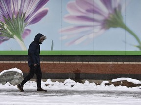 No more flowery days in the forecast as wet snow falls in Edmonton, November 2, 2018.
