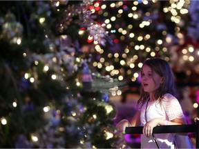 Visitors to the annual Festival of Trees look at the Christmas trees on display at the Shaw Conference Centre, in Edmonton.