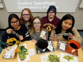 Five Grade 9 students at David Thomas King School in Edmonton, Deeanne Vergara, left, Lauren Clement, Thea Endols-Joa, Kyra Lizotte and Lily Hu, were selected as the winners of the Student Spaceflight Experiments Program for their project on the effect of microgravity on the germination of watercress.