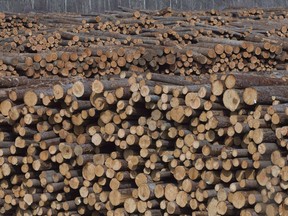 Softwood lumber is pictured at Tolko Industries in Heffley Creek, B.C., on April, 1, 2018.