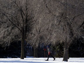 A cross-country skier makes their way through Gold Bar Park, in Edmonton Monday Jan. 14, 2019.