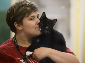 Volunteer Devon Kinsella visits with a shelter cat as they wait for the start of the Clear Our Shelter Adoption Event at the Edmonton Humane Society (EHS), in Edmonton Friday March 23, 2018. File photo.