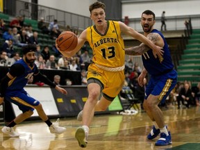 The University of Alberta Golden Bears' Adam Paige (13) breaks past the UBC Thunderbirds' Manroop Clair (3) and Patrick Simon (11) during Game 3 of their Canada West playoff series, in Edmonton Sunday Feb. 24, 2019.