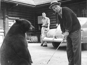 Bing Crosby lines up a shot under the watchful eye of a local bear in Jasper, Alta., in 1947.