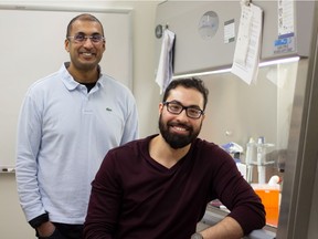 Researchers have long known that the aggressive attack on cancer cells from chemotherapy often causes damage to other cells in the body, including the heart, making patients more prone to develop heart problems years down the road. Now researchers at the U of A have found a potential way to make chemo more effective while protecting the heart.