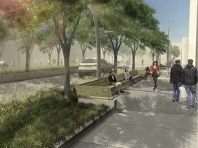 A rendering of the renewed sidewalks scape planned for Jasper Avenue. The city expects trees to look like this 10 years after planting.