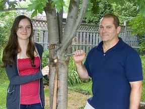 Gerald Filipski recommends bolting together trees that have cracked or had their trunks split.