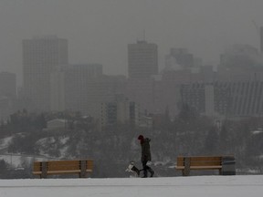 A dog walker heads down a trail as snow begins to obscure the downtown skyline on Thursday, Jan. 31, 2019, in Edmonton. A snowfall warning is in effect with a predicted snowfall accumulations between 15 and 30 centimeters by Saturday afternoon.