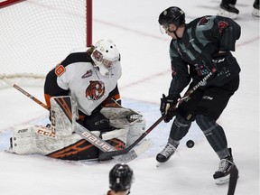 Edmonton Oil Kings Andrew Fyten (39) tries to get the puck past Medicine Hat Tigers goaltender, Mads Sogaard during WHL action on Monday, Feb. 18, 2019, in Edmonton.