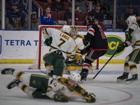 The University of Alberta Golden Bears fell 4-2 to the University of New Brunswick Reds in the final of the 2019 U-Sports national hockey championships Sunday, March 17, 2019, in the Enmax Centre in Lethbridge, AB.