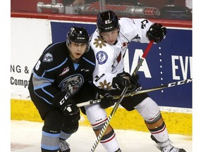 Calgary Hitmen's Tye Carriere battles Kootenay Ice's Chase Hartje in second period action at the Scotiabank Saddledome as the WHL Hitmen Suits up with Don Cherry to Promote Organ Donation on Sunday March 3, 2019. Darren Makowichuk/Postmedia