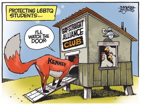 Jason Kenney fox guards the LGBTQ straight-gay alliance henhouse. (Cartoon by Malcolm Mayes)