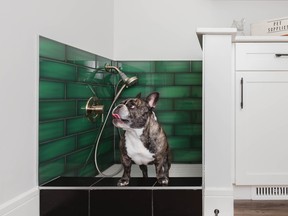 The dog wash in a show home by Pacesetter Homes in Glenridding Ravine North.