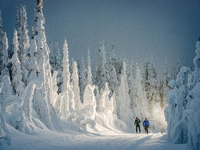 Cross-county skiing at Silver Star Mountain Resort.