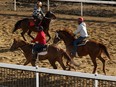 Riders exercise their horses on the new track during the grand opening of the Century Mile Racetrack and Casino in Nisku, on Monday, April 1, 2019.