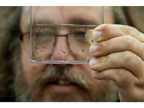 City of Edmonton Pest Management Coordinator Mike Jenkins displays mosquito larvae as he speaks to the media about the City's 2019 mosquito management program, in Edmonton Wednesday April 17, 2019. Photo by David Bloom