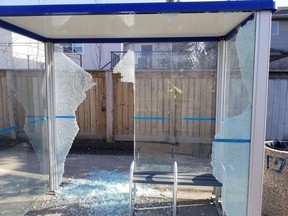 Police charged a 17-year-old boy after a vandalism spree to Edmonton Transit Service bus shelters in southeast Edmonton.