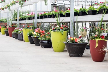 Floor planters