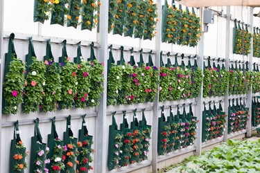 Hanging planters.