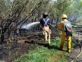 Firefighters respond to a wildland fire in Buena Vista Park in Edmonton. File photo.