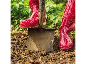 Soil performs vital functions, physically supporting plants, holding water and nutrients, and offering a home to organisms that break down organic matter. Clay or sandy soil can be improved with organic matter like compost.