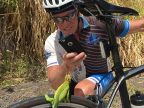 Former EPS Staff-Sgt. Kerry Nisbet was back flagging down traffic last week on a busy road - this time to save the life a relatively rare chameleon on a busy Hawaiian road. The chameleon was determined to cross he says. But it would almost certainly have lost its life on the busy highway. Nisbet is pictured here with the chameleon, which became interested in his bike and showed no signs of stress.