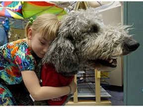 A pediatric therapy dog named Jasper gets a hug from six-year-old Eva Isaac while visiting sick children on National Therapy Animal Day at the Stollery Children's Hospital in Edmonton on Tuesday, April 30, 2019.