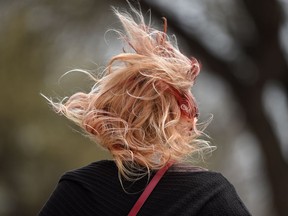 Pedestrians struggle through the wind on a very blustery day in Edmonton on Wednesday Apr. 22, 2015.