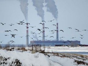 A large flock of returning Canada geese lifts off from open water near the Keephills Power Plant at Keephills and heads towards the Sundance Power Plant. File photo.