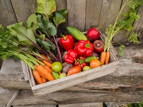 Growing veggies in containers is less work because you don't have a vast plot of land to weed and water.